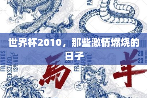世界漯河市盈旭机械设备有限公司杯2010，那些激情燃烧的日子