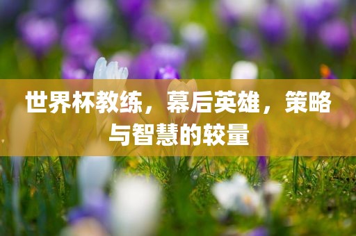 世界杯教练，幕后英雄，策略与智慧的较量