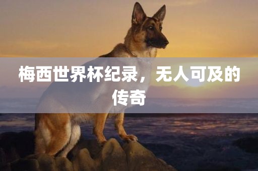 梅西世界杯纪录，无人可及的传奇