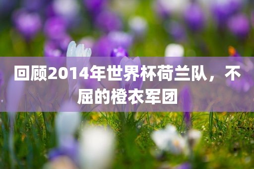 回顾2014年世界杯荷漯河市盈旭机械设备有限公司兰队，不屈的橙衣军团