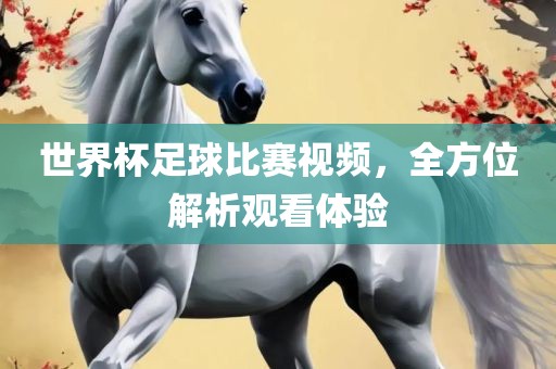世界杯足球比赛视频，全方位解析观看体验