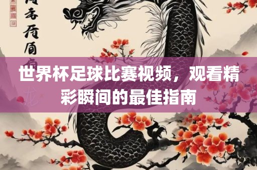 世界杯足球比赛视频，观看精彩瞬间的最佳指南