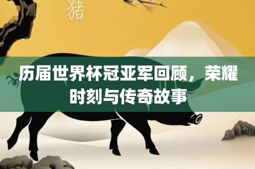 历届世界杯冠亚军回顾，荣耀时刻与传奇故事