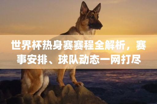 世界杯热身赛赛程全解析，赛事安排、球队动态一网打尽