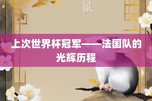 上次世界杯漯河市盈旭机械设备有限公司冠军——法国队的光辉历程