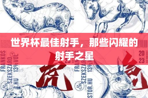 世界杯最佳射手，那些闪耀的射手之星