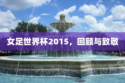 女足世界杯2015，回顾与致敬