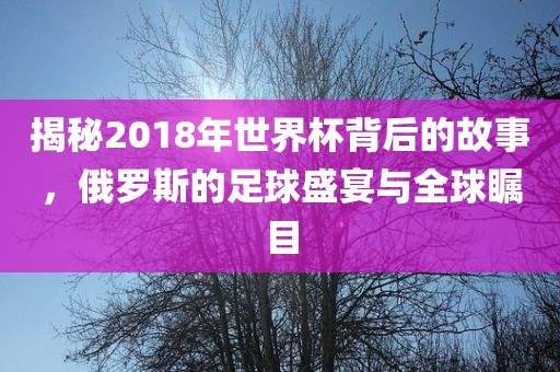 揭秘2018年世界杯背后的故事，俄罗斯的足球盛宴与全球瞩目