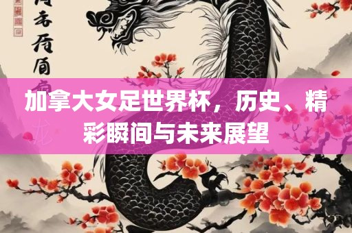 加拿大女足世界杯，历史、精彩瞬间与未来展望漯河市盈旭机械设备有限公司