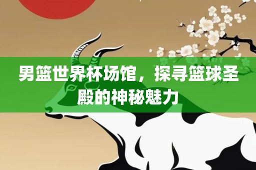 男篮世界杯场馆，探寻篮球圣殿的神秘魅力