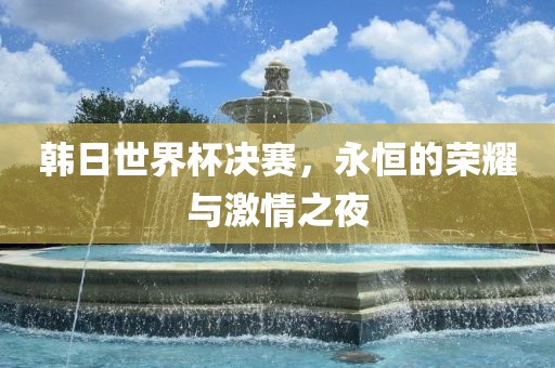 韩日世界杯决赛，永恒的荣耀与激情之夜
