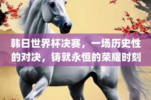 韩日世界杯决赛，一场历史性的对决，铸就永恒的荣耀时刻