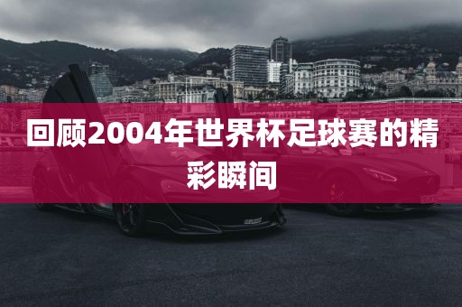 回顾2004年世界杯足球赛的精彩瞬间漯河市盈旭机械设备有限公司