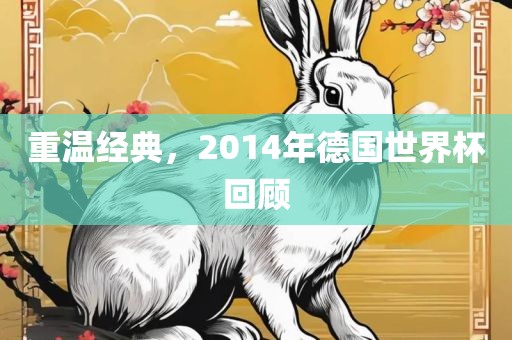 重温经典，2014年德国世界杯回顾