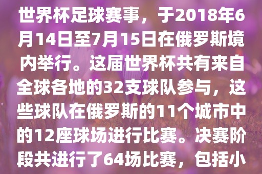 世界杯足球赛 第10页