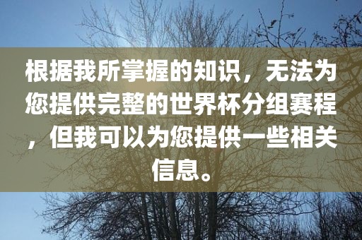 根据我所掌握的知识，无法为您提供完整的世界杯分组赛程，但我可以为您提供一些相关信息。
