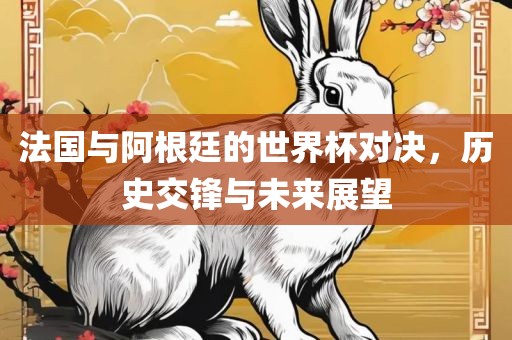 法国与阿根廷的世界杯对决，历史交锋与未来展望