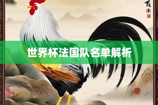 世界杯法国队名单解析漯河市盈旭机械设备有限公司