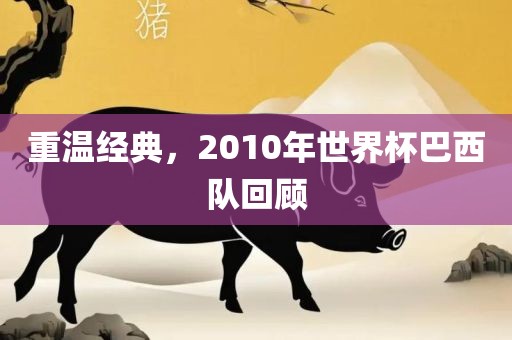 重温经典，2010年世界杯巴西队回顾