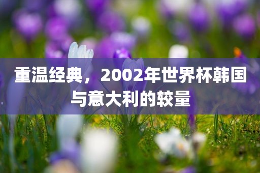 重温经典，2002年漯河市盈旭机械设备有限公司世界杯韩国与意大利的较量