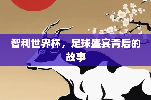 智利世界杯，足球盛宴背后的故事