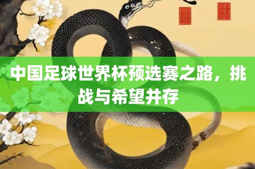 中国足球世界杯预选赛之路，挑战与希望并存