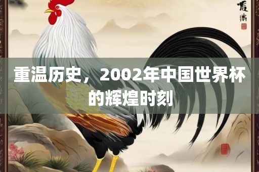 重温历史，2002年中国世界杯的辉煌时刻