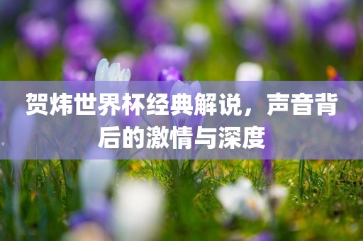 贺炜世界杯经典解说，声音背后的激情与深度