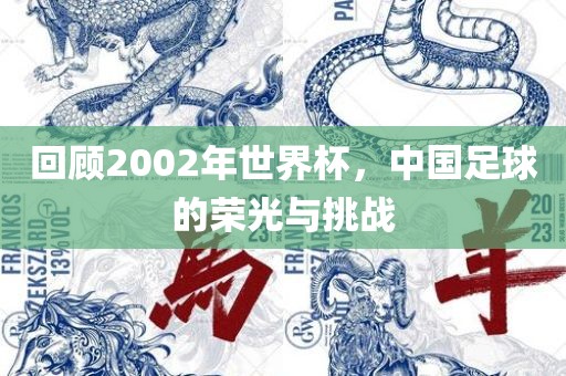 回顾2002年世界杯，中国足球的荣光与挑战