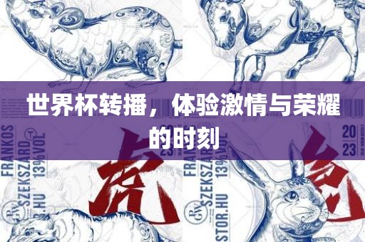 世界杯转播，体验激情与荣耀的时刻