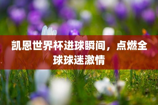 凯恩世界杯进球瞬间，点燃全球球迷激情