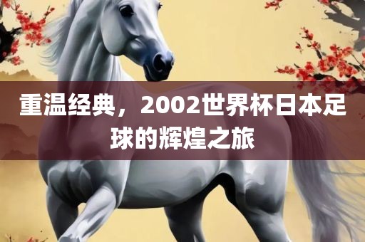 重温经典，2002世界杯日本足球的辉煌之旅