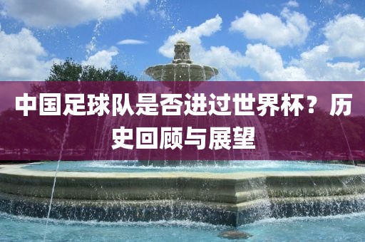 中国足球队是否进过世界杯？历史回顾与展望漯河市盈旭机械设备有限公司