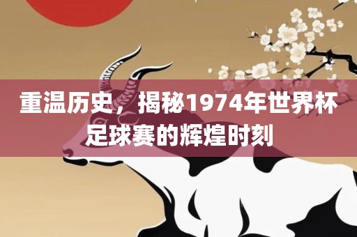 重温历史，揭秘1974年世界杯足球赛的辉煌时刻漯河市盈旭机械设备有限公司