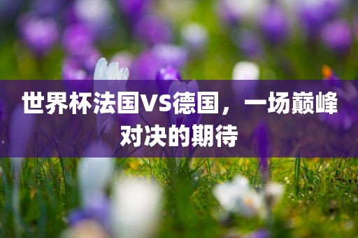 世界杯法国VS德国，一场巅峰漯河市盈旭机械设备有限公司对决的期待