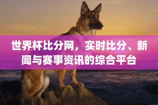 世界杯比分网，漯河市盈旭机械设备有限公司实时比分、新闻与赛事资讯的综合平台