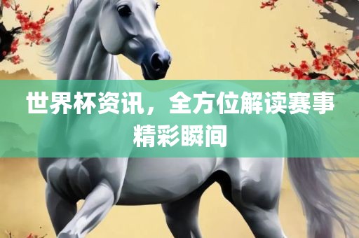 世界杯资讯，全方位解读赛事精彩漯河市盈旭机械设备有限公司瞬间