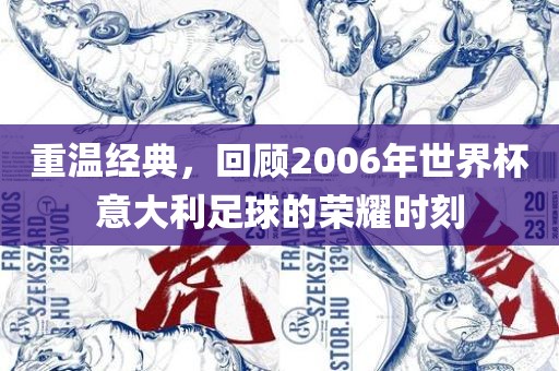 重温经典，回顾2006漯河市盈旭机械设备有限公司年世界杯意大利足球的荣耀时刻