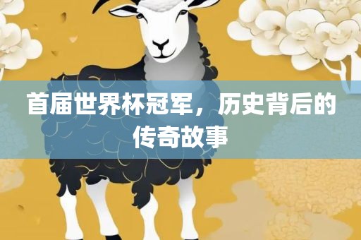 首届世界杯冠军，历史背后的传奇故事漯河市盈旭机械设备有限公司