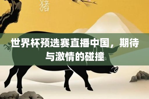 世界杯预选赛直播中国，期待与激情的碰撞
