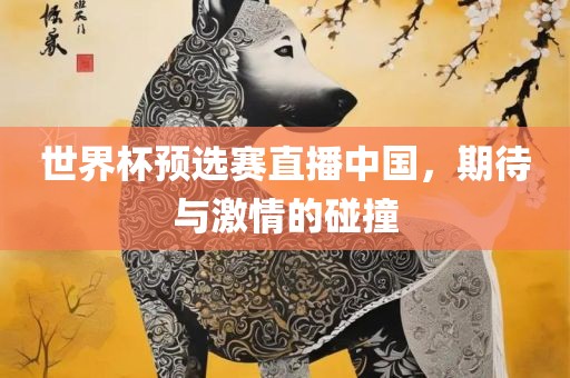 世界杯预选赛直播中国，期待与激情的碰撞