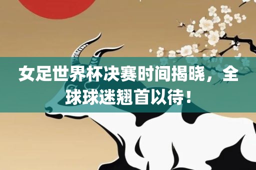 女足世界杯决赛时间揭晓，全球球迷翘首以漯河市盈旭机械设备有限公司待！