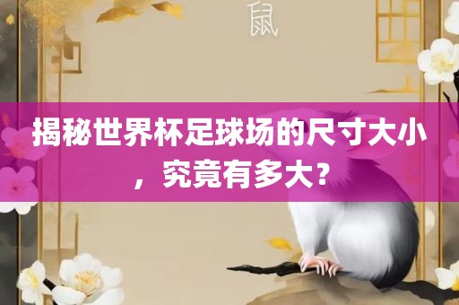 揭秘世界杯足球场的尺寸大小，究竟有多大？