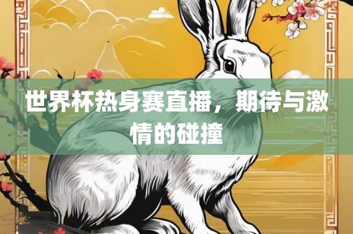 世界杯热身赛直播，期待与激情的碰撞