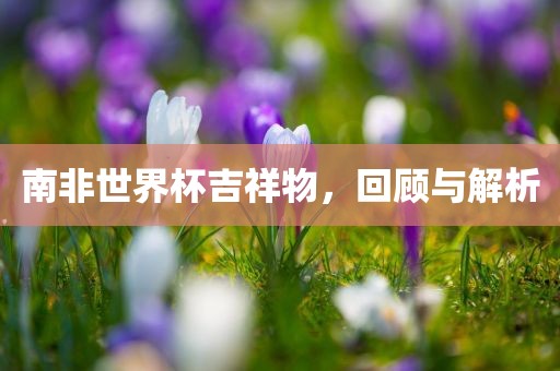 南非世界杯吉祥物，回顾与解析漯河市盈旭机械设备有限公司
