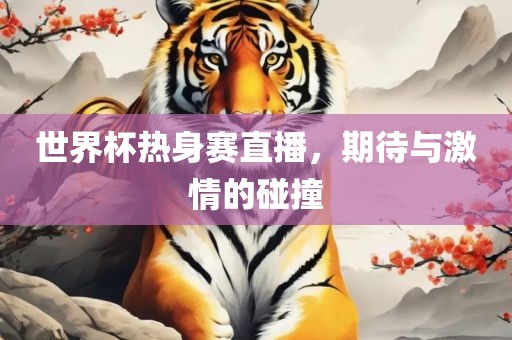 世界杯热身赛直播，期待与激情的碰撞