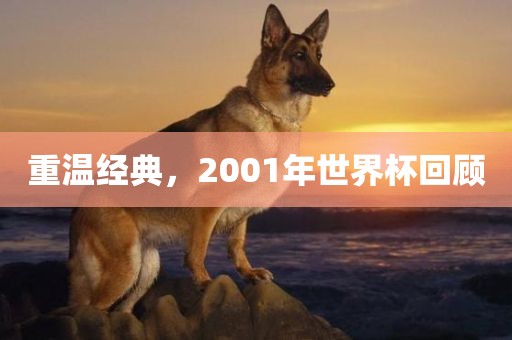 重温经典，2001年世界杯回顾