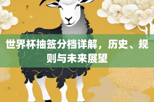 世界杯抽签分档详解，历史、规则与未来展望
