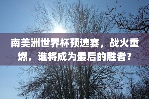 南美洲世界杯预选赛，战火重燃，谁将成为最后的胜者？漯河市盈旭机械设备有限公司