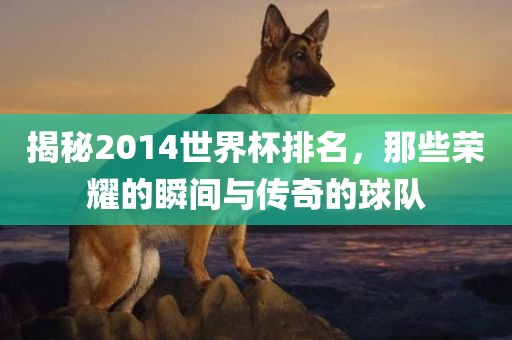 揭秘2014世界杯排名，那些荣耀的瞬间与传奇的球队漯河市盈旭机械设备有限公司